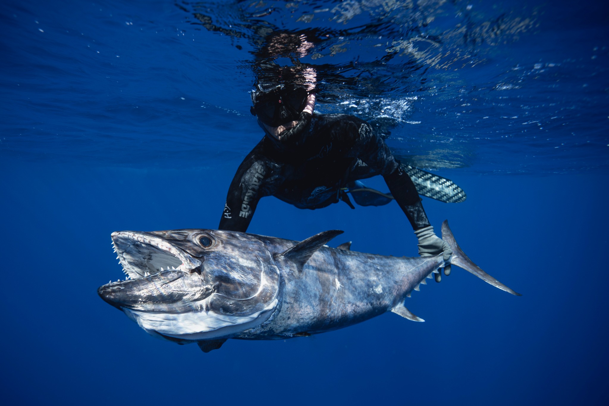 Nettoyage des fonds marins